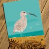 Curlew Greeting Card by Nick Pettit - 80p from sale will go to Curlew Action