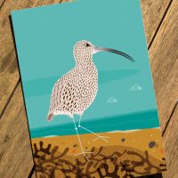 Curlew Greeting Card by Nick Pettit - 80p from sale will go to Curlew Action
