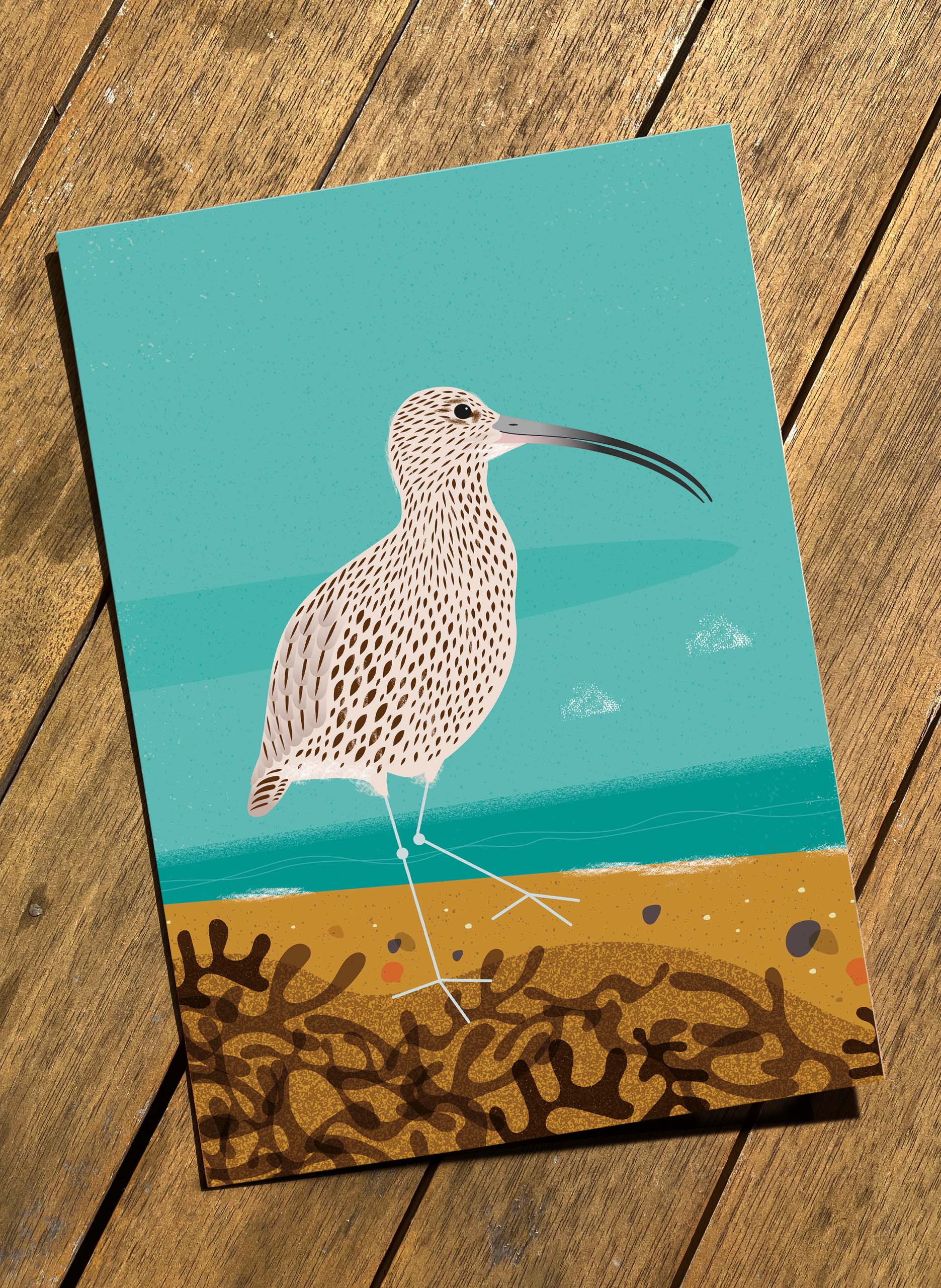 Curlew Greeting Card by Nick Pettit - 80p from sale will go to Curlew Action