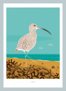 A3 Curlew Print by Nick Pettit - £3 from sale will go to Curlew Action