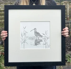 Original Framed Curlew Drawing by Ellen Bradley