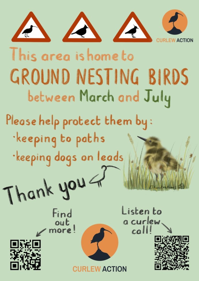 A4 Plastic Ground-nesting Bird Sign Design 2 – Curlew Action Shop
