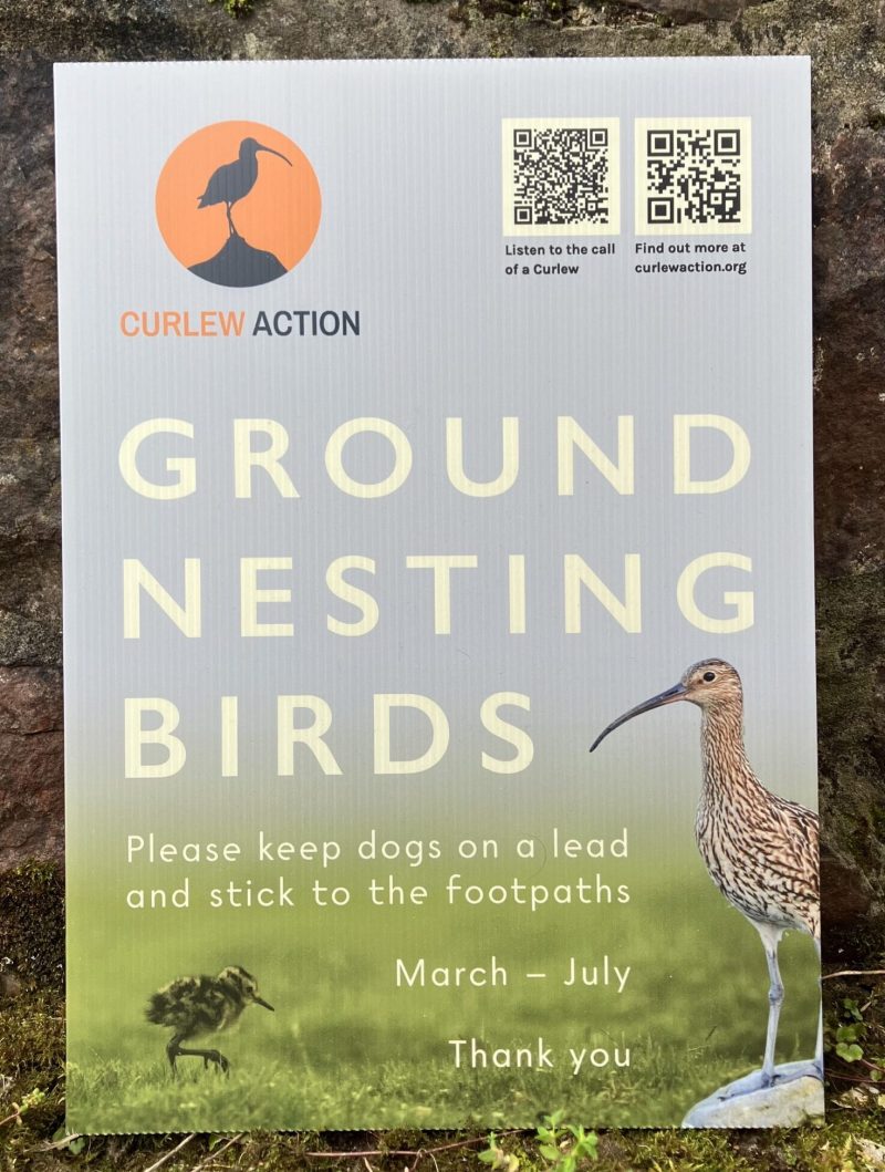 A4 Plastic Ground-nesting Bird Sign Design 1 – Curlew Action Shop