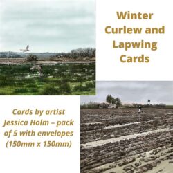Winter Cards