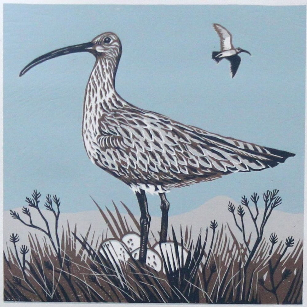 Curlew On Guard by Joanna Martin
