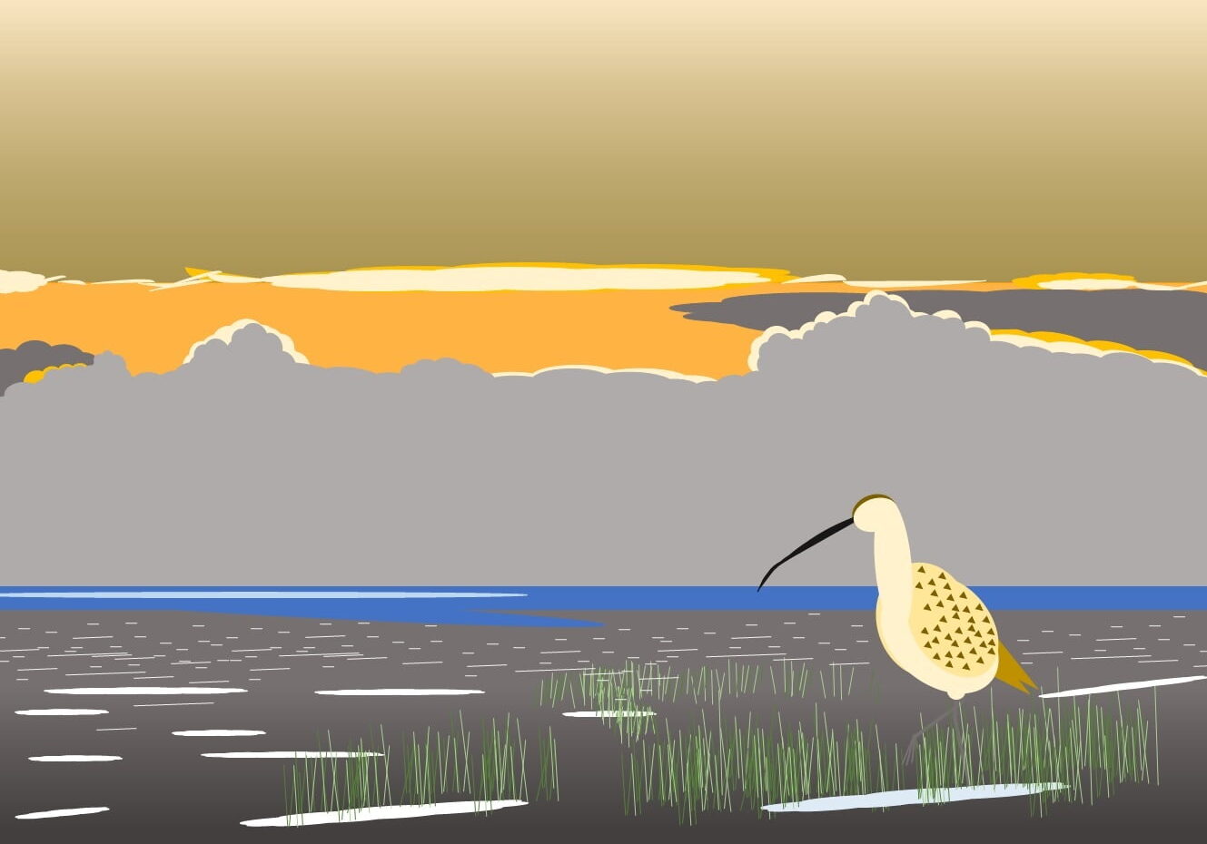 Curlew at Sunrise (James Currell)