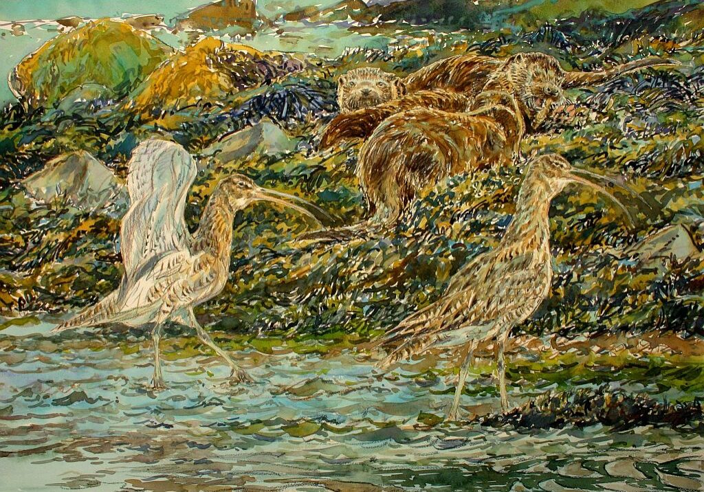 David Bennett - Curlews and Otters - Watercolour