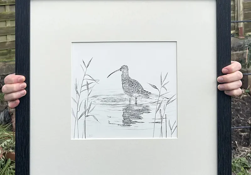 Ellen Bradley Original