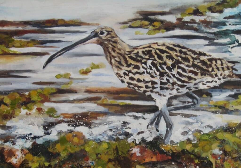 McCurlew- Gemma Waters