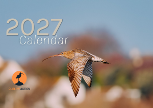 2027 Curlew Action Calendar